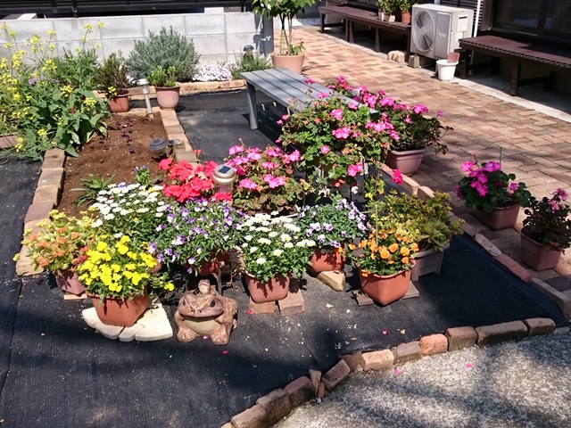 10-2015.04.27 (22).JPG
