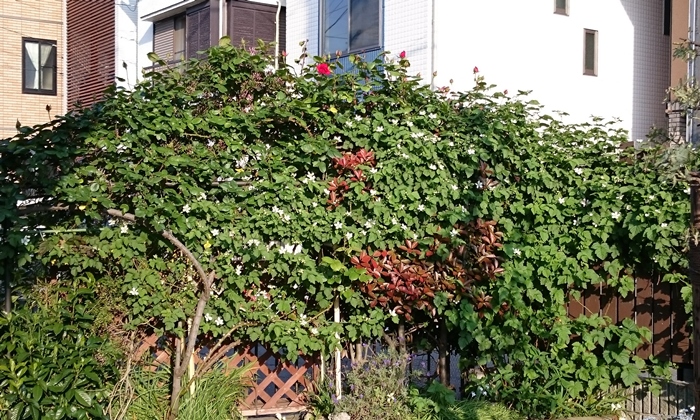 10-2015.04.29 (1-1).JPG