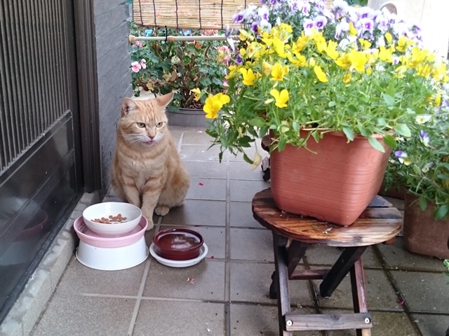05-2015.05.28 (12).JPG