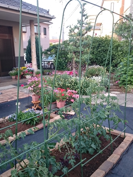 05-2015.5.22 (16).JPG