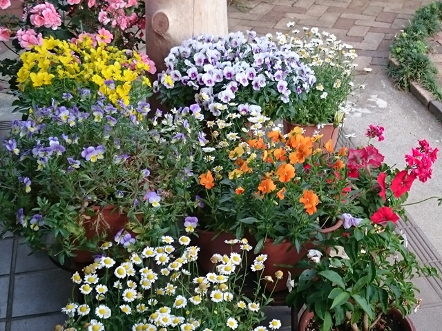 05-2015.5.22 (21).JPG