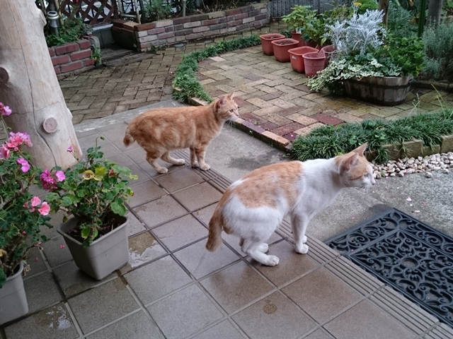 09-2015.07.02 (15).JPG