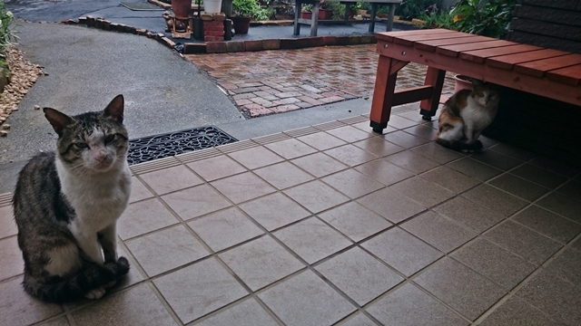09-2015.07.05 (14).JPG