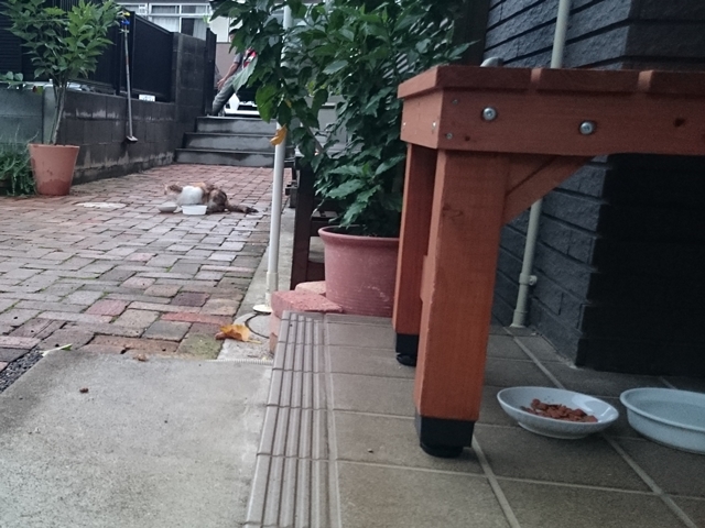09-2015.07.05 (18).JPG