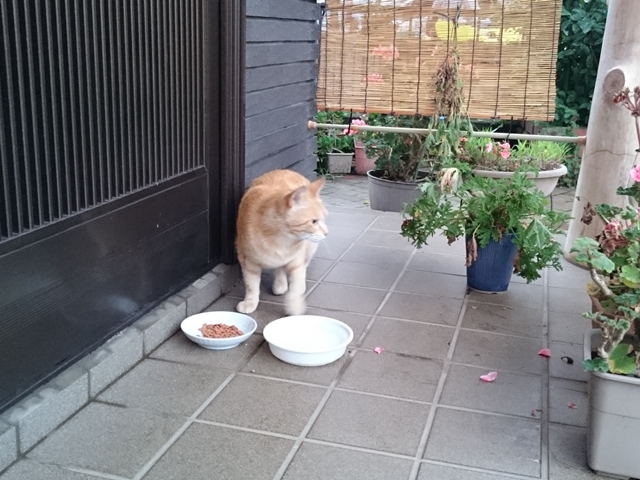 09-2015.07.05 (19).JPG