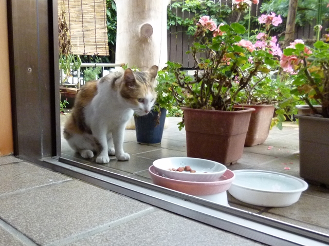 09-2015.07.08 (41).JPG