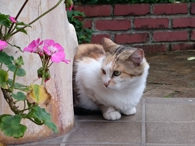 09-2015.07.08 (102).JPG