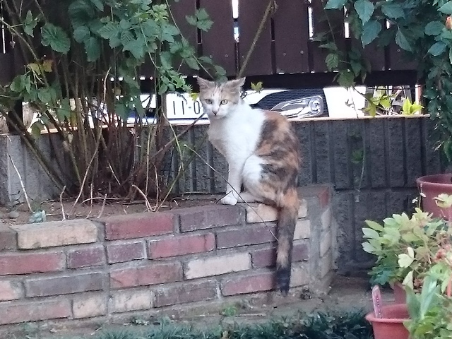 091-2015.07.22 (40).JPG
