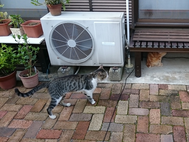 091-2015.07.23 (15).JPG