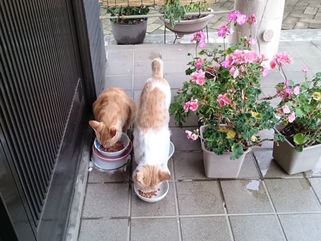 30-2015.07.02 (13).JPG