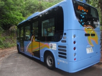 村バス