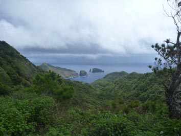 躑躅山からの景色