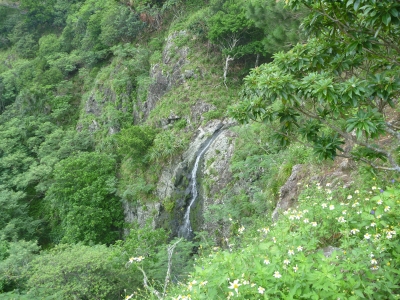 滝