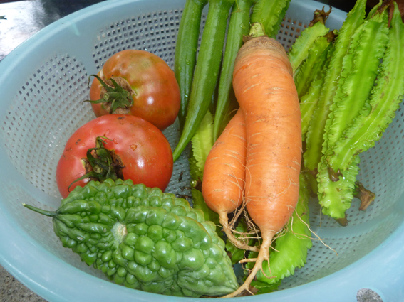 野菜
