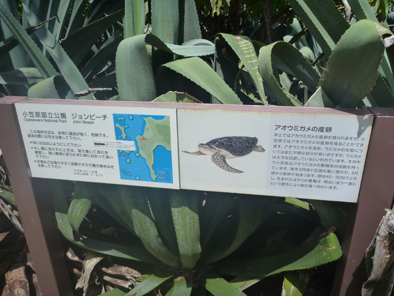 到着!!