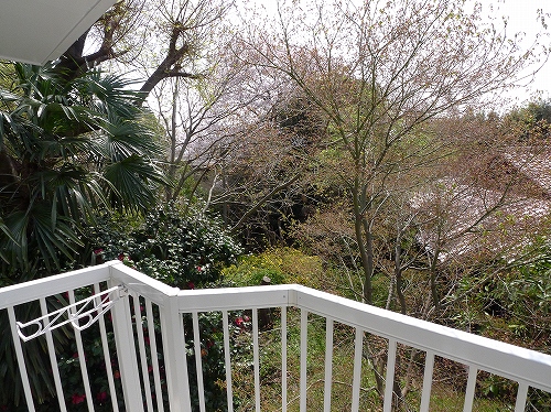 輸入住宅 無垢フローリンク゛0016.jpg