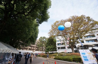ボカシDSC09955.jpg