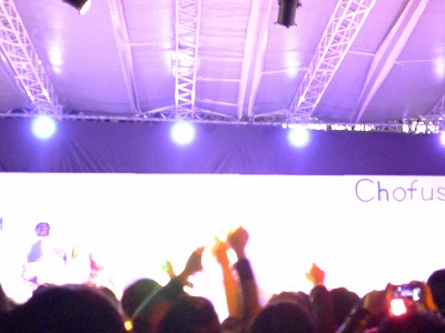 P1110291.jpg
