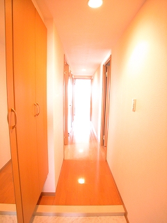 ޏŽÞŽÚ޲޽޴ިޱ5010025.jpg