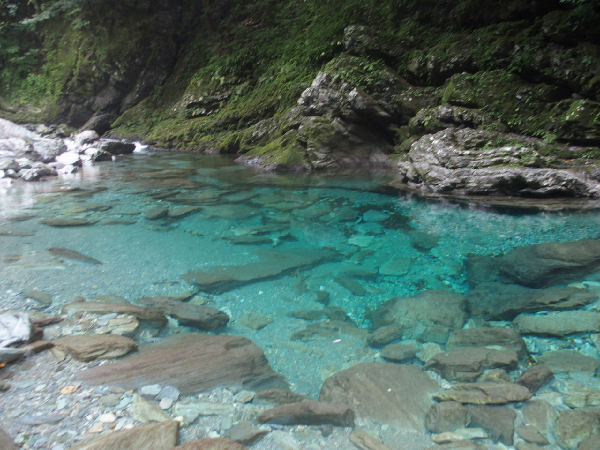 四国旅 仁淀川 | うぉータンの“水辺の話”