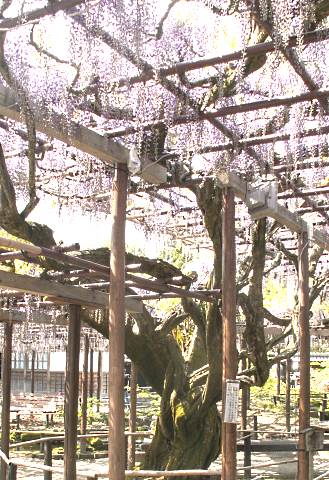 160430_13.jpg