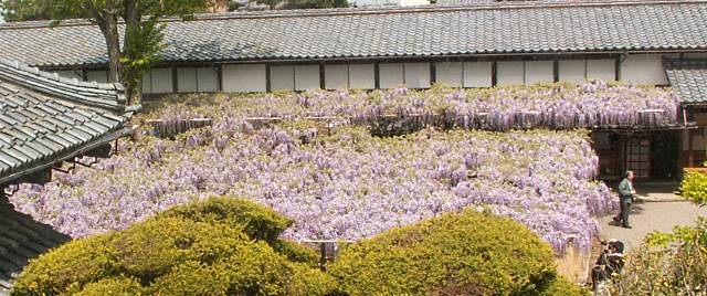 160430_16.jpg