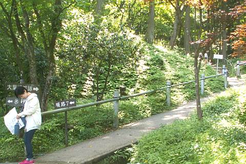 160508_06.jpg