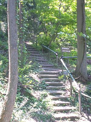 160508_13.jpg