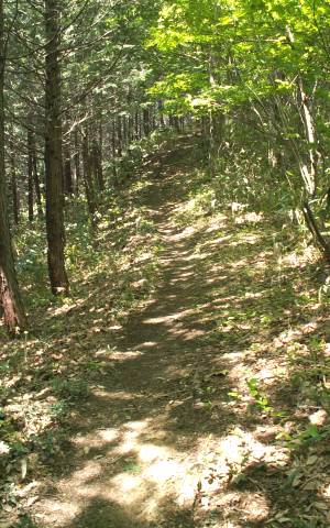 160508_14.jpg