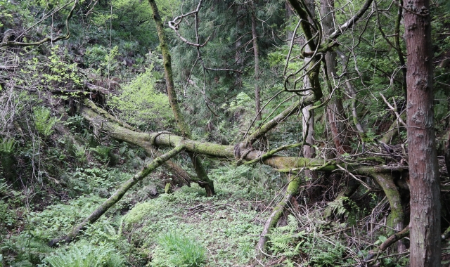 190511_2.jpg