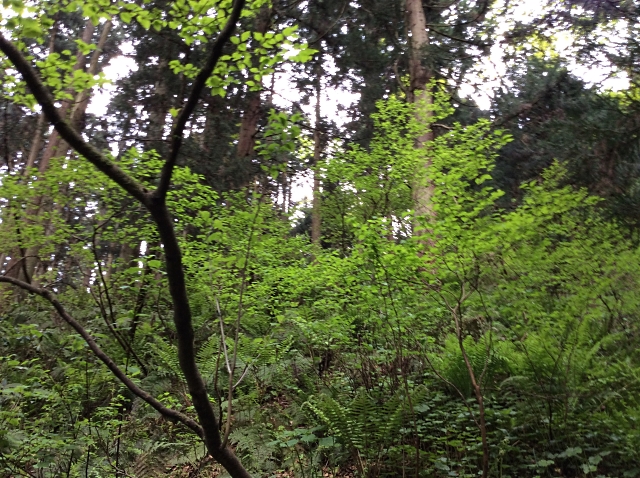 190515_7.jpg