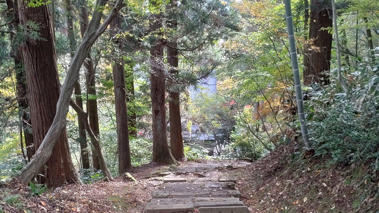 赤芝峡の紅葉【3】 ヴヴ・ワールド別館