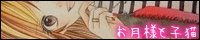 お月様と子猫