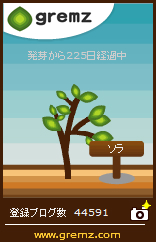 ソラの木