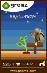 ソラの木