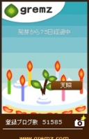 天照の木