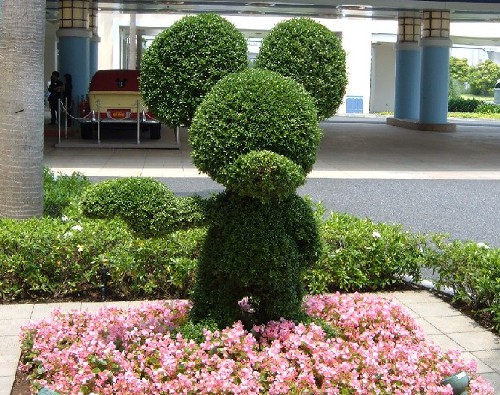 ディズニー用語・略語集_ミッキーのトピアリー