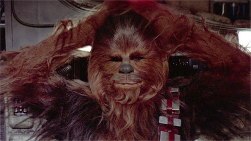 ディズニー雑学・トリビア・裏話_身長220cm!?スター・ウォーズでチューバッカを演じるのはこんな人
