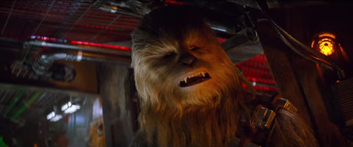 ディズニー雑学・トリビア・裏話_スター・ウォーズのチューバッカって何歳?ウーキー族の寿命は?