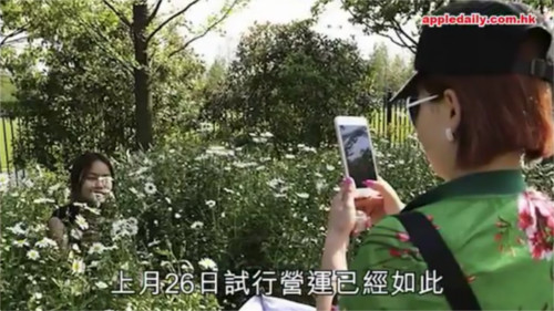 上海ディズニーリゾートの一部エリアを開放した結果・・・早速パーク内にゴミが!落書きが!糞尿が!_3