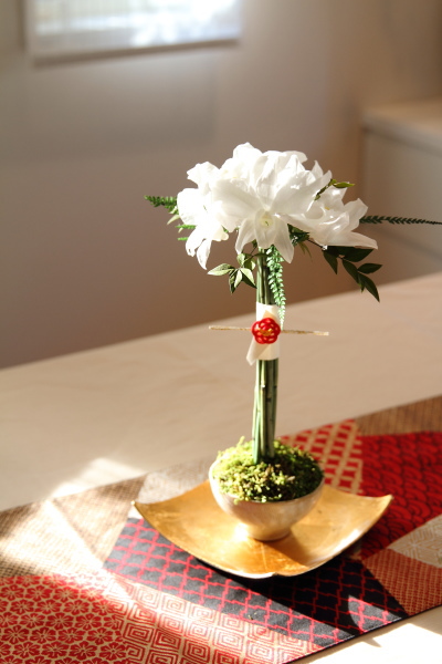 迎春の花
