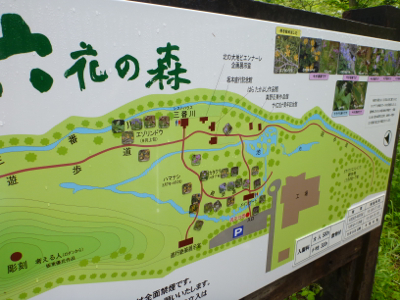 P1030628.jpg