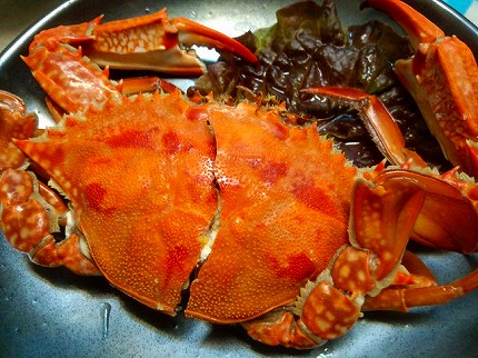 ワタリ蟹 (1).jpg