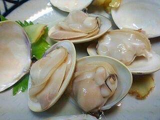 ハマグリ酒蒸.jpg