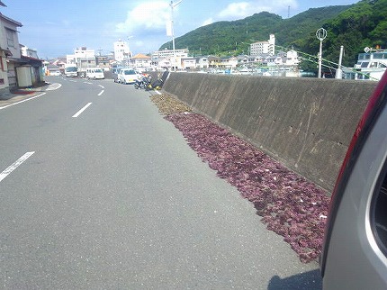 天草120723.jpg