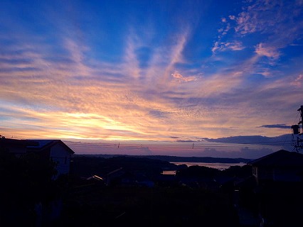 s-DSC_0106.jpg