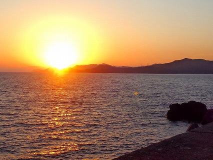 DSC_0123.jpg