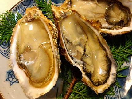 121116カキ.jpg
