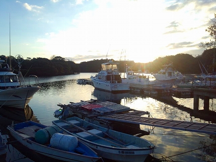 2013-01-16 07.37.05.jpg