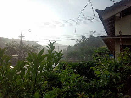 2013-07-07 17.25.55.jpg